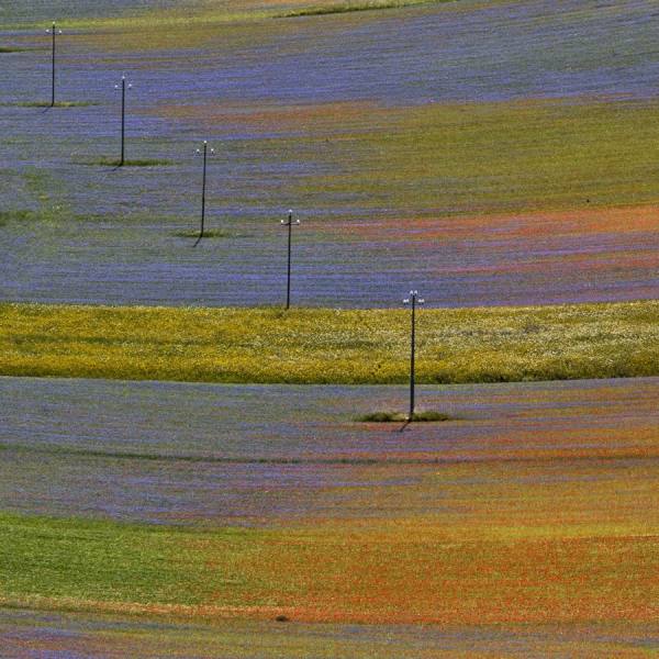 Photograph Della Latta Massimo  Castelluccio on One Eyeland